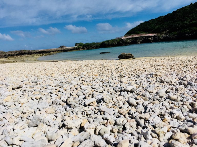 古物■1g-a12★送料込（北海道・沖縄・離島以外）★定本 茶の湯表千家 上下巻 千宗左 主婦の友社 宅配便発送 古物□1g-a12☆送料込（北海道・沖縄・離島以外）☆函無 著者署名